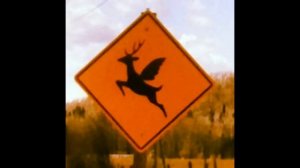 Странные дорожные знаки