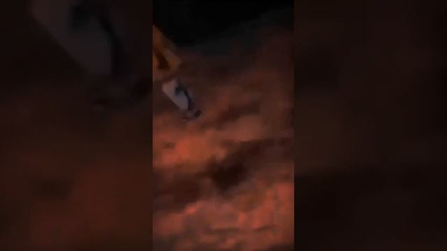 там это такое качество было прошу простить смотреть онлайн