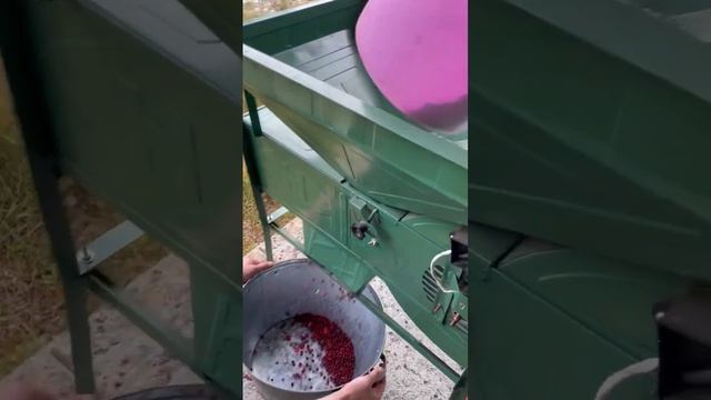 Перебираем бруснику?? смотреть онлайн