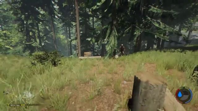 The Forest, the dream comes true смотреть онлайн