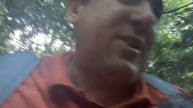 SETAS, setas y más SETAS 2021. 12 KILOS de SETAS ? смотреть онлайн