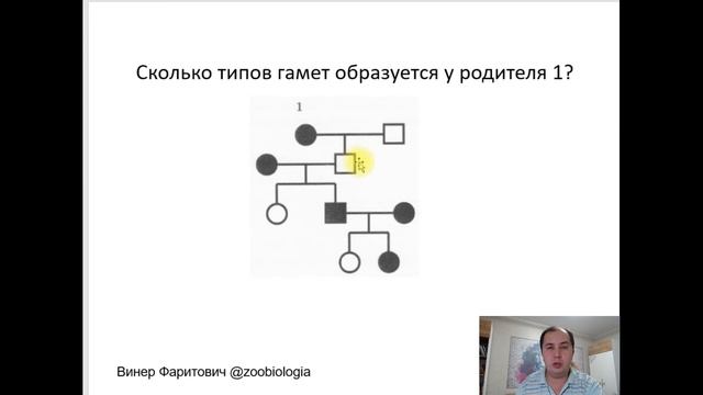 Решение заданий по генетике на родословные смотреть онлайн