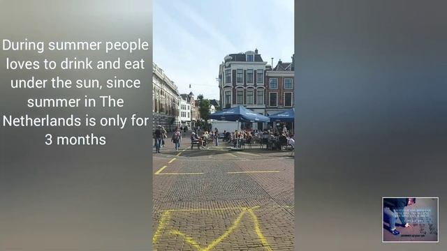 Haarlem, Netherlands | Things you need to know and see | Dutch Culture смотреть онлайн