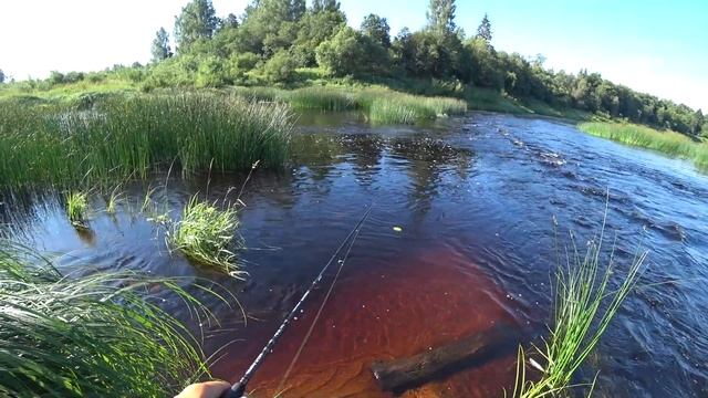 Ультралайт в дебрях Смоленской области смотреть онлайн