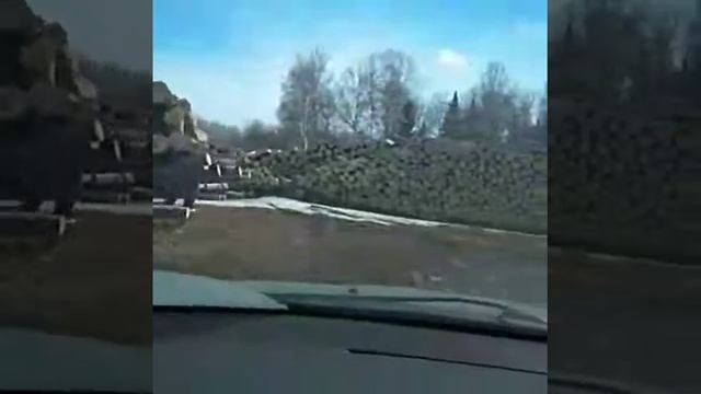 Томская область вырубка тайги, Сибирь скоро останется без леса.... смотреть онлайн