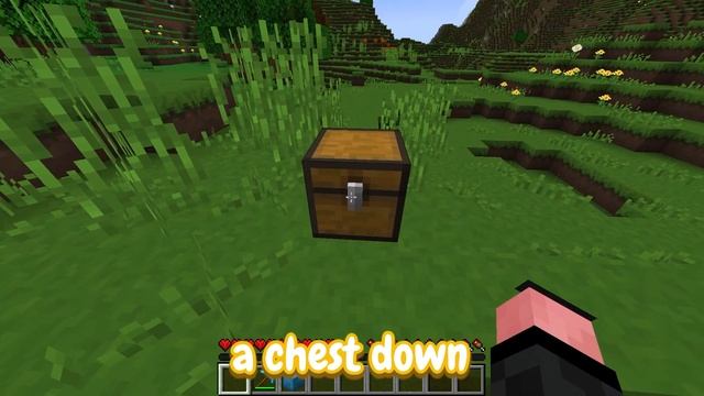The BEST Minecraft Duplication Glitches! (BEDROCK & JAVA) смотреть онлайн