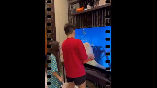 Агата Муцениеце сторис 02.03.2024 смотреть онлайн