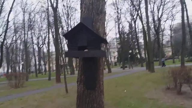 ПЕРЕД РОЖДЕСТВОМ,ГОМЕЛЬ / Видео № 1005 смотреть онлайн
