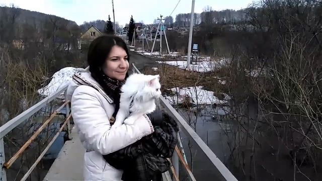 Прогулка Белыша. Мини-путешествие на реку Издревая. Гусиный брод. Новосибирский район. смотреть онлайн