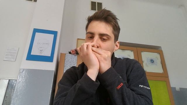 Hohner Special20 harmonica смотреть онлайн