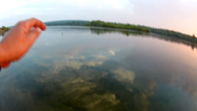 Вечерняя прогулка на речку с сыном!!! смотреть онлайн