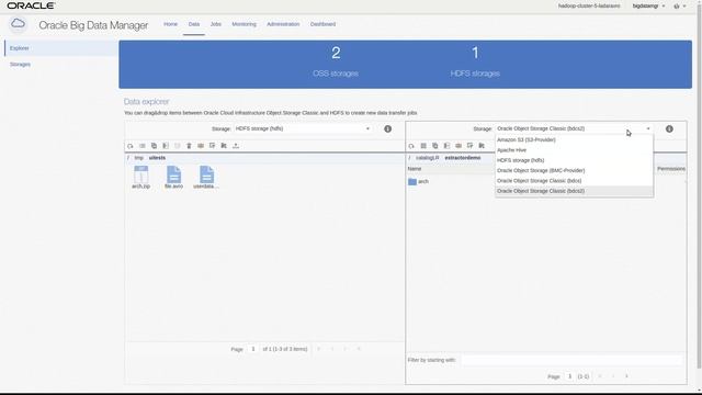 Oracle Big Data Manager and Archives смотреть онлайн