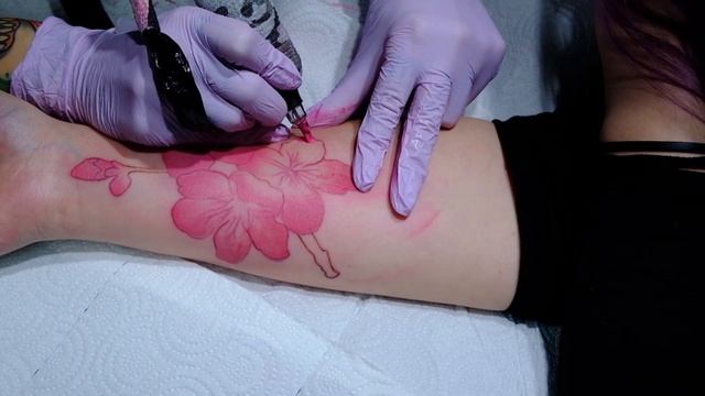 Sakura Tattoo Time Lapse смотреть онлайн