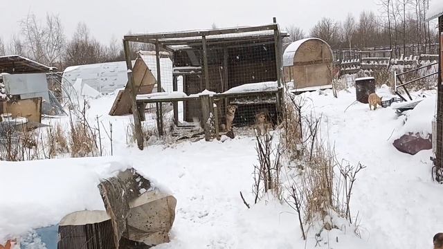 24 11.23. финская деревня Засыпалло смотреть онлайн