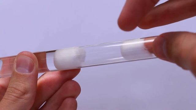 How to set up a queen ant to start a colony смотреть онлайн