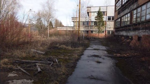 Strange noises encounter. Eastern Europe /edit/ Siren Head ???