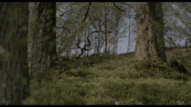 Morris&Co смотреть онлайн