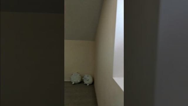 дом (мансарда) смотреть онлайн