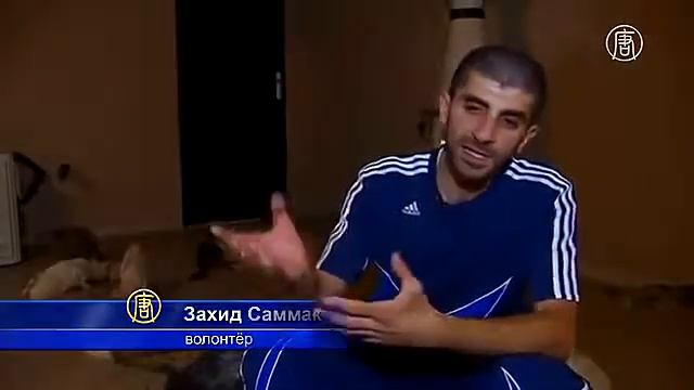 Мусульманин приютил кошек в своей квартире смотреть онлайн