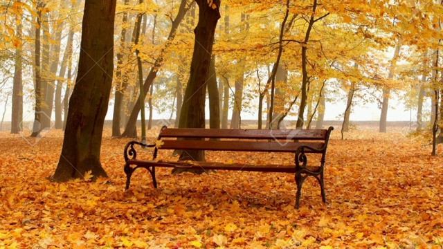 Осень без тебя... стихи...поэзия...мои стихи... смотреть онлайн