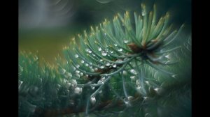 ВОЛШЕБНЫЙ ОБЪЕКТИВ из старого Гелиос 44-2