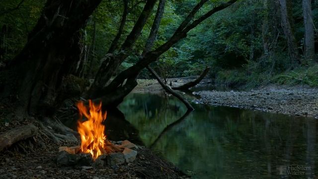 Как поливать помидоры после высадки в грунт? смотреть онлайн
