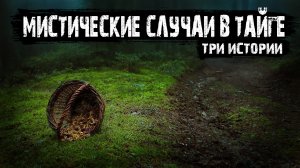 Мистические истории произошедшие в лесу (3 истории) - Мистические истории из жизни.
