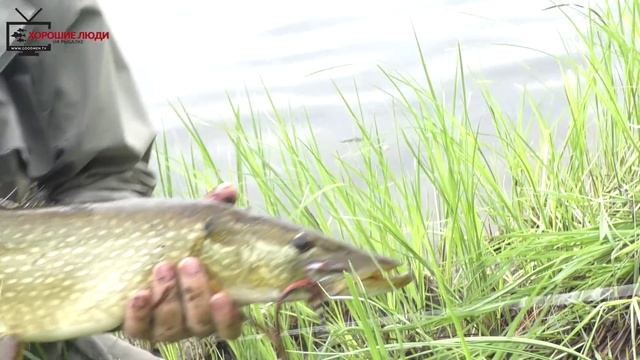 Правильные мушки на тайменя. Taimen best fly. смотреть онлайн