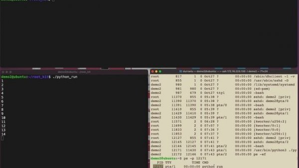 Linux rootkit to hide a PROCESS