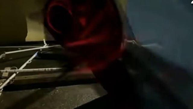 Топ 3 Мультяшных котов снятых на камеру смотреть онлайн