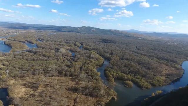 Рощино смотреть онлайн