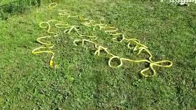 Растягивающийся поливочный шланг HOZELOCK