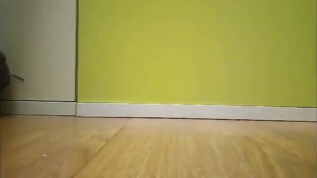Школа Басиков! Урок физкультуры! смотреть онлайн