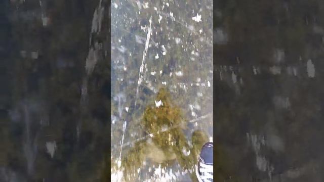 Пруд в районе Засеки. Красивые места Пензенской области. смотреть онлайн