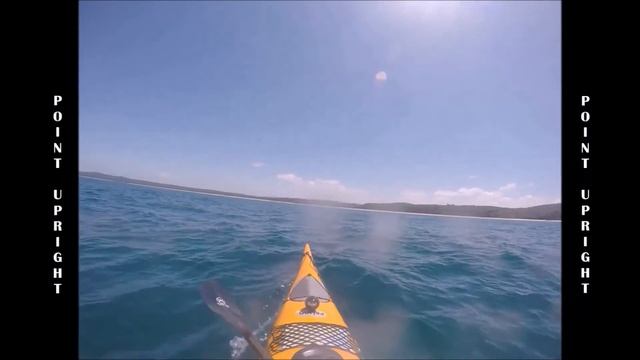 Durras - 'In Point Upright's Lee' (Pilot Whale' - Globicephala Melas) (Russ McGowan)