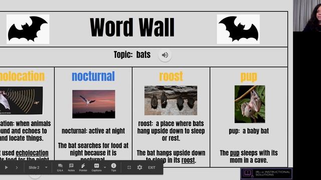 virtual word wall смотреть онлайн