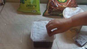 Выращивание лука-порея через рассаду. Посев семян