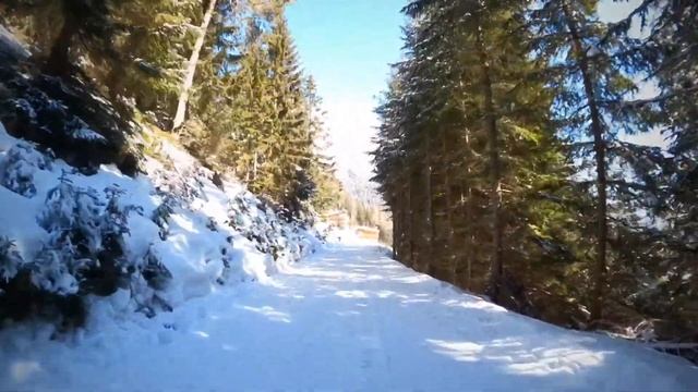 The Skiweg Ramsau Am Dachstein 12 02 2021 смотреть онлайн