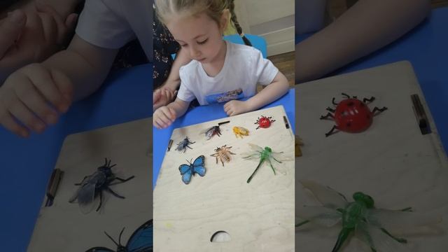 Три этапа занятия. Насекомые. Занимаемся дома с мамой. Запуск речи. Раннее развитие. смотреть онлайн