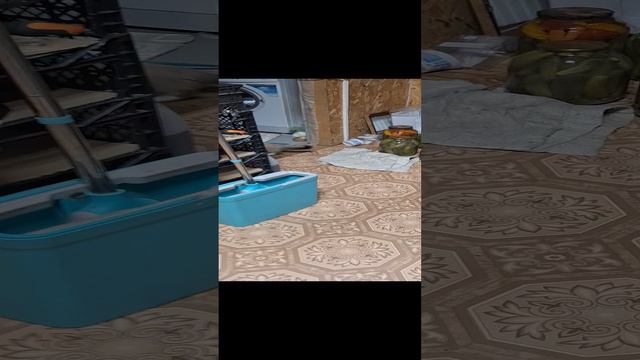 котёнок пытается высунуть голову из лейки смотреть онлайн