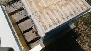 Холстик или плёнка в улье?