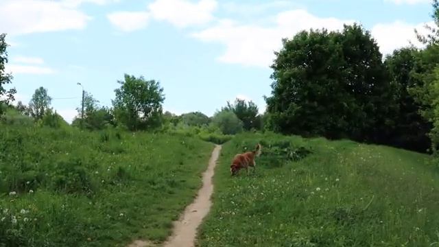 Лето в Москве, cъёмки на макро-объектив, закаты, тренировки и очки PYE | Ep. 1 смотреть онлайн