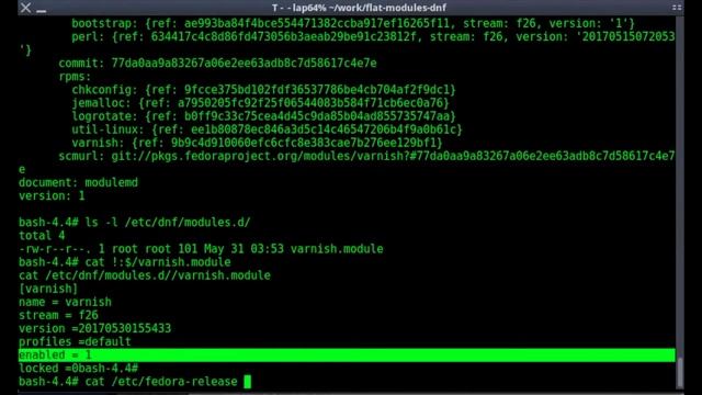 Sprint 31 demo 1: DNF update смотреть онлайн