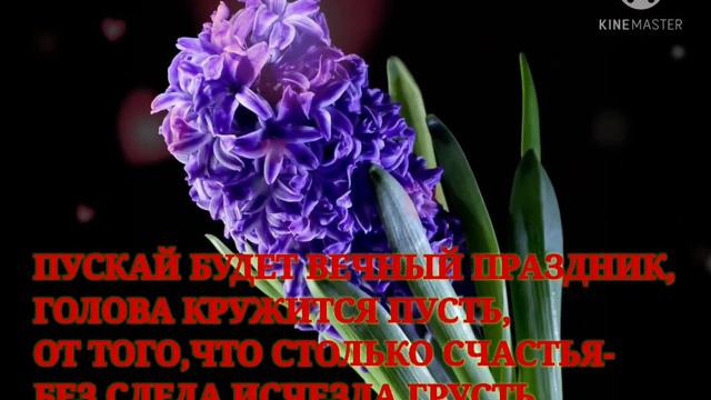 Днем Святого Валентина. смотреть онлайн