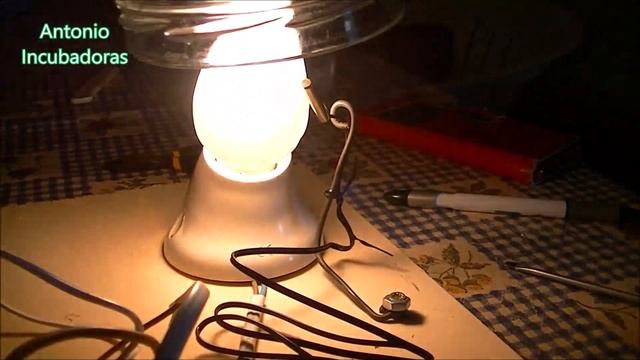 Cómo hacer una incubadora. смотреть онлайн