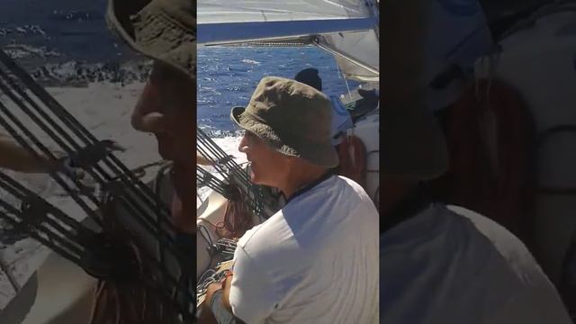 Race, Wind, Fun = Sailing смотреть онлайн