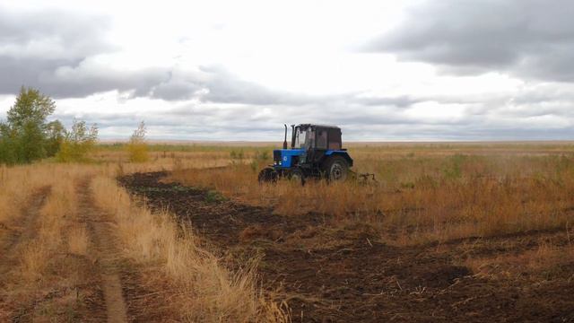 Агроуход в Оренбургской области 26 сентября 2022 года смотреть онлайн