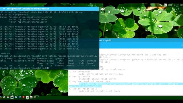 Install SQL Server on Ubuntu Linux смотреть онлайн