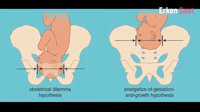 BİLİMİN BİLE AÇIKLAYAMADIĞI HAMİLELİK DÖNEMİ NEDEN 9 AY 10 GÜN SÜRER ! смотреть онлайн