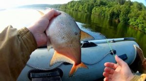 Ловля леща с лодки на бортовые удочки (лещёвки)